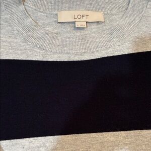 LOFT Men's Crewneck Sweater in Light Gray and Navy Stripe